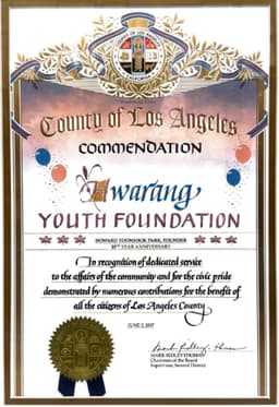 Award or certificate of recognition received by Hwarang Youth Foundation