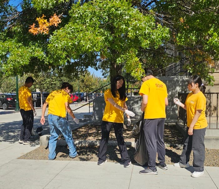 Boise activity